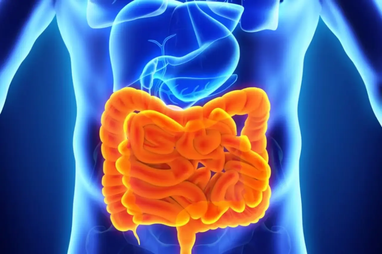 Digestione facile con il caldo: la combinazione di frutta ideale per i pranzi estivi suggerita dai gastroenterologi Digestione facile con il caldo: la combinazione di frutta ideale per i pranzi estivi suggerita dai gastroenterologi